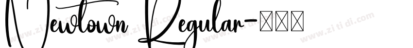 Newtown Regular字体转换